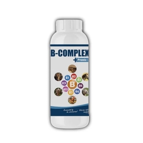 AK - B COMPLEX LIQUID PREMIX - 1 L