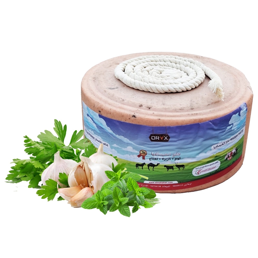 Himalayan Compressed Salt - Garlic+Mint+Coriander - 5 kg