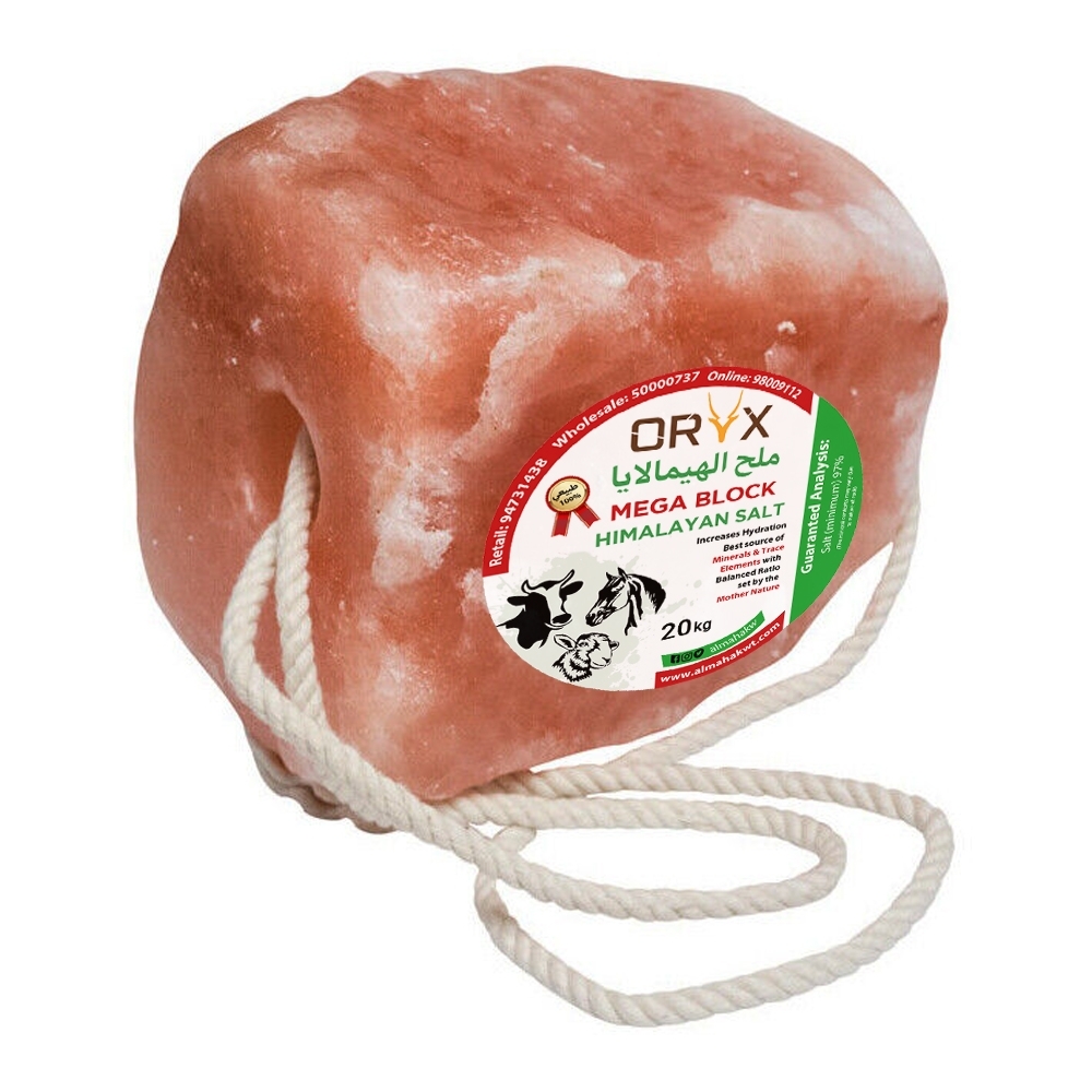 Himalayan MEGA Salt Block-Natural-(w/Jute Rope) - 20kg